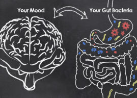 How Gut Bacteria Affects Your Mood